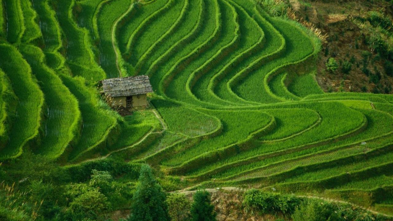 세미냑 Aryana Estate 빌라 외부 사진